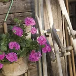 Ringlerhof * Michaelerberg