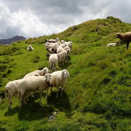 Ringlerhof مزرعة للإقامة Michaelerberg