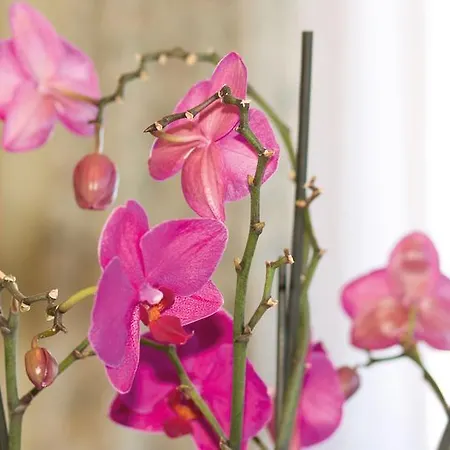 Gospodarstwo agroturystyczne Ringlerhof *