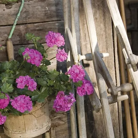 Ringlerhof * Michaelerberg