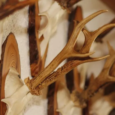 Farm stay Ringlerhof