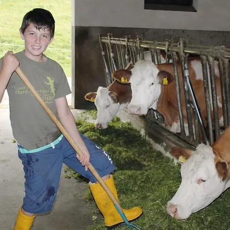 Ringlerhof Gospodarstwo agroturystyczne *