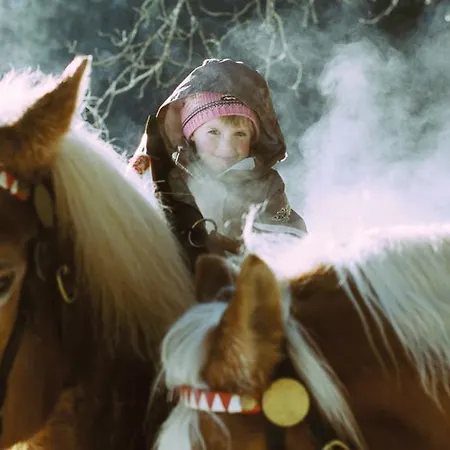 Ringlerhof * Michaelerberg