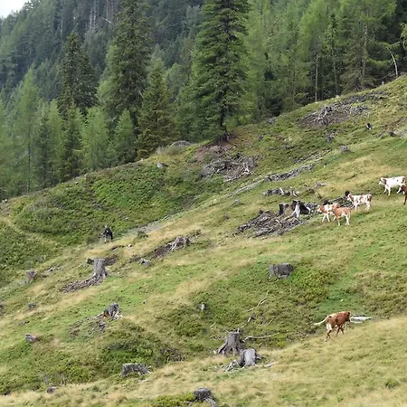 Gospodarstwo agroturystyczne Ringlerhof *