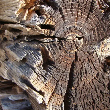 Ringlerhof * Michaelerberg