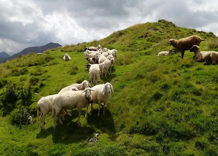 Ringlerhof مزرعة للإقامة Michaelerberg