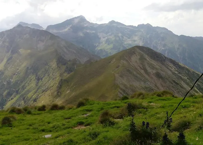 Ringlerhof مزرعة للإقامة