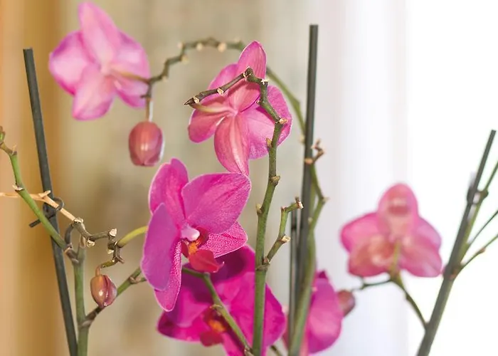 Фермерский дом Ringlerhof *