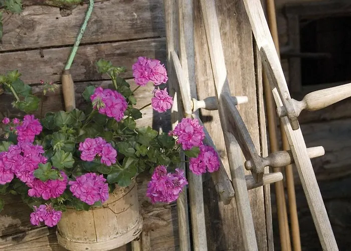 Ringlerhof * Michaelerberg