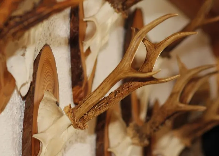 Фермерский дом Ringlerhof