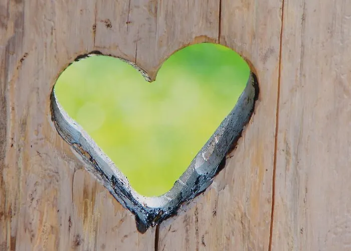 Ringlerhof Фермерский дом