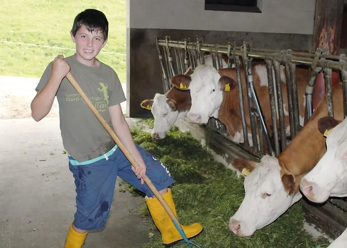 Ringlerhof Gospodarstwo agroturystyczne *