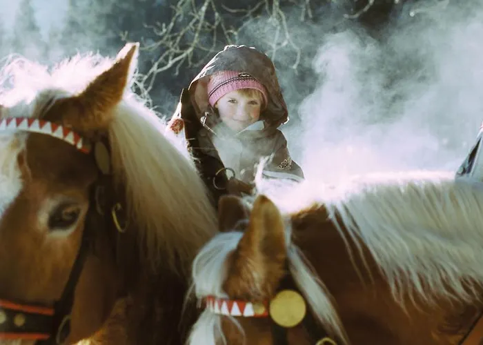 Ringlerhof * Michaelerberg