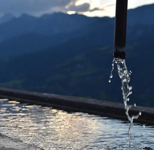 Ringlerhof Michaelerberg