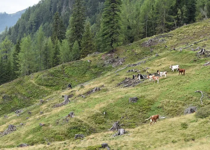 مزرعة للإقامة Ringlerhof *