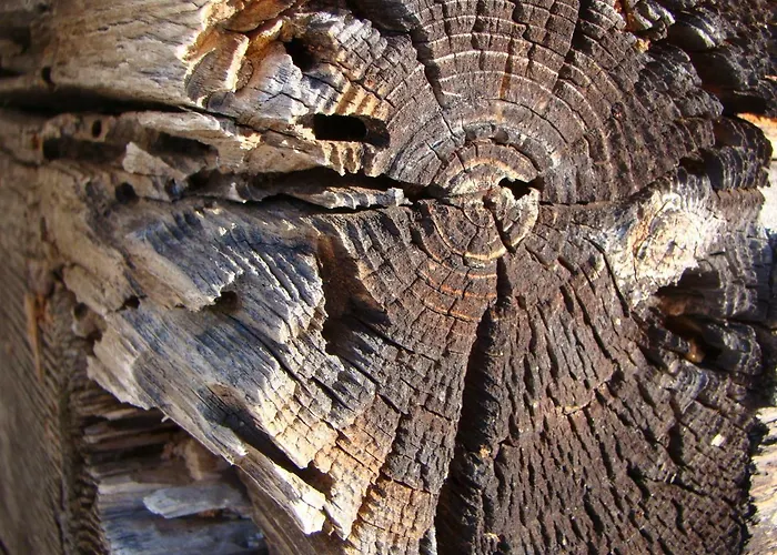 Ringlerhof * Michaelerberg